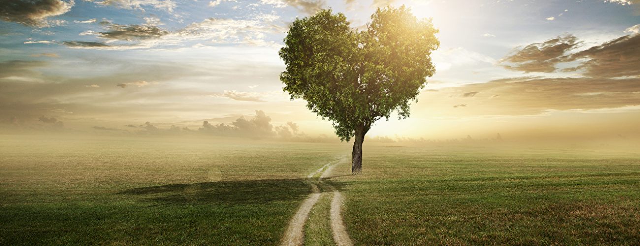Roads_Trees_Clouds_Heart_435559